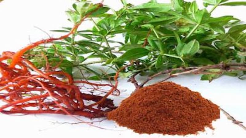 روناس مشهد مرغوب مناسب مصارف گیاهی و صنعتی
